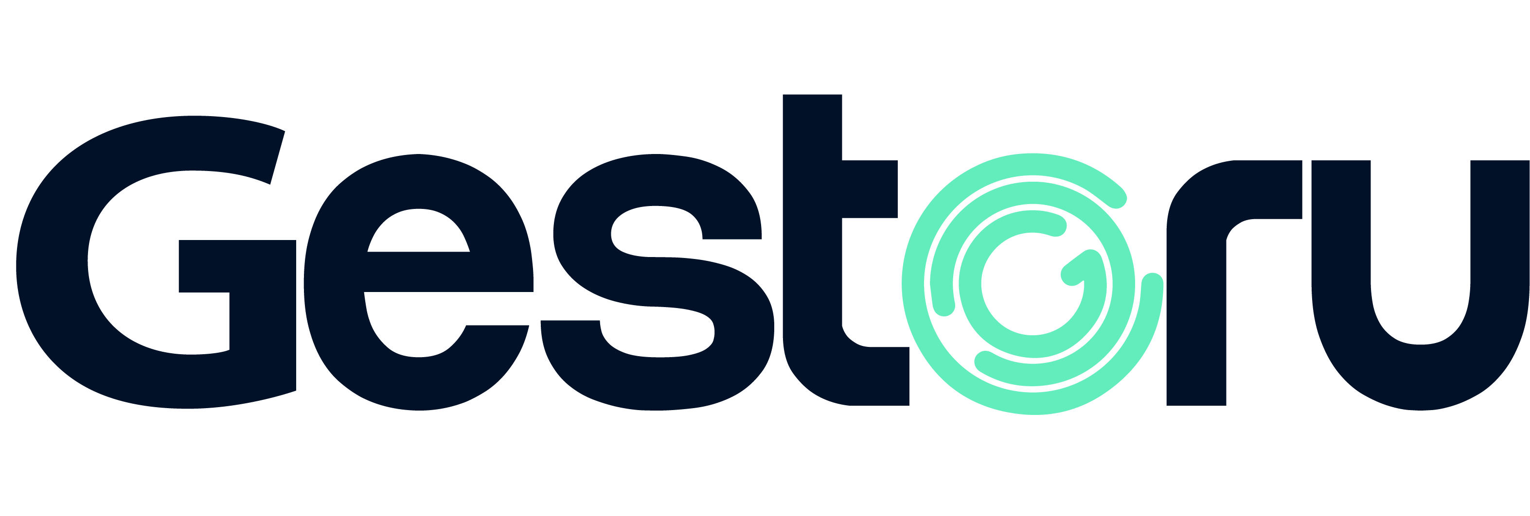 Gestoru software